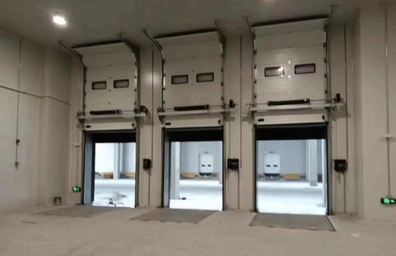 Puertas seccionales aisladas acero industrial del garaje 380V automático teledirigido